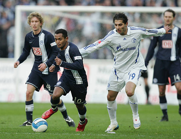 体育领域的 体育领域的